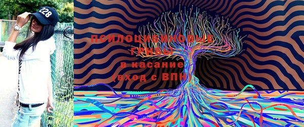 PSILOCYBIN Богданович